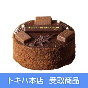 �y09�z �s�f�����t �N���X�g�V���R��